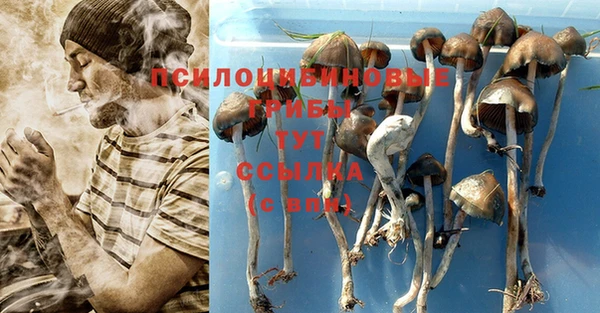синтетический гашиш Киреевск