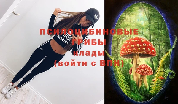 кокс Киренск