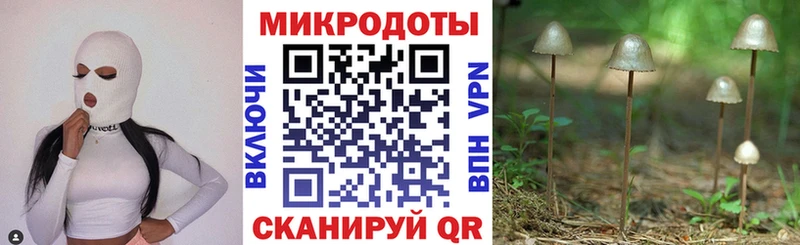 Купить где  Красноярск  Галлюциногенные грибы Cubensis 