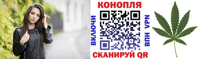 Купить где  Красноярск  Канабис OG Kush 